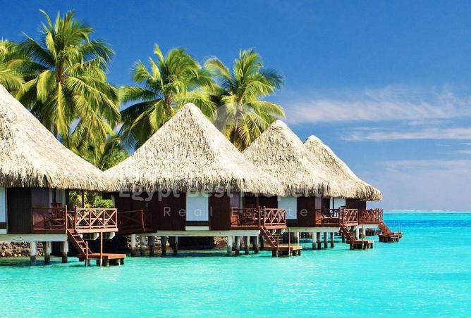 61694089 - Property Image 2