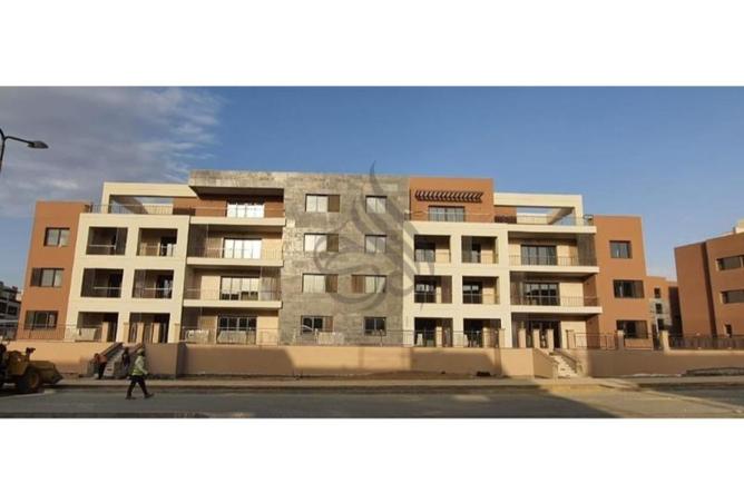 53988558 - Property Image 2