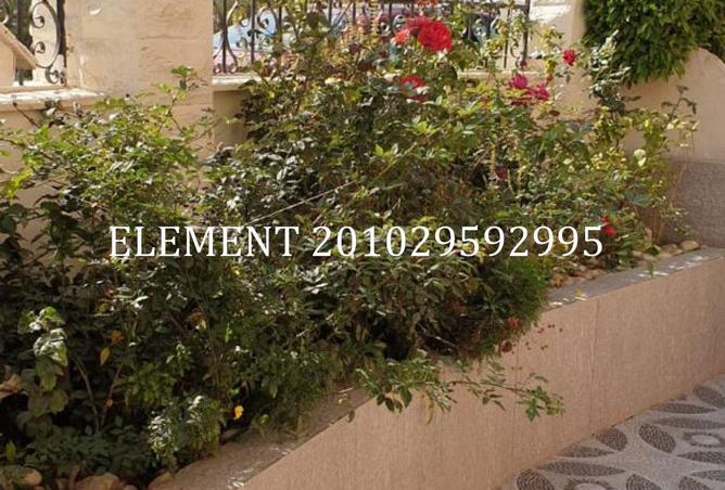 8697253 - الصورة الرئيسية للعقار