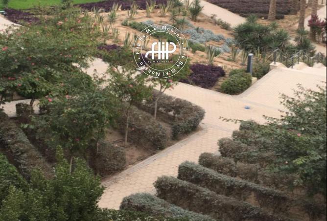 53477722 - الصورة الرئيسية للعقار