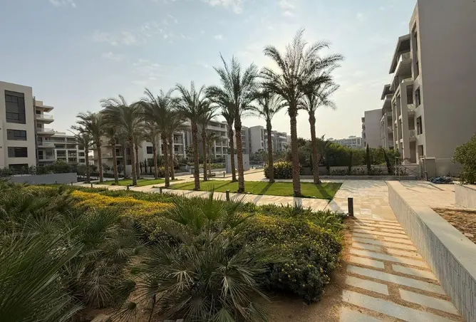 75396352 - صورة العقار 3