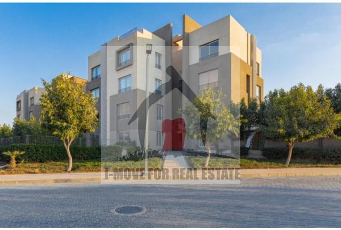 55502524 - صورة العقار 3