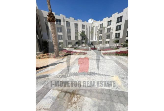 55502524 - صورة العقار 2