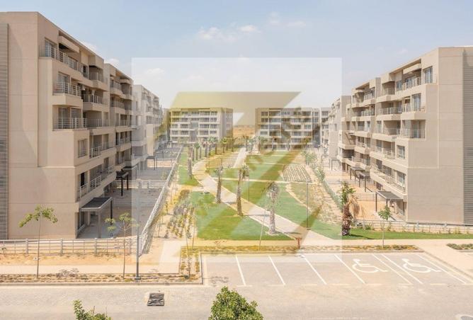 8590268 - Property Image 3