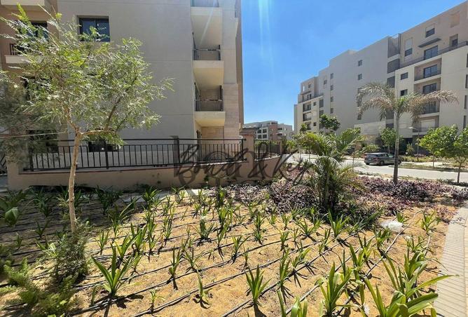 103767333 - صورة العقار 3