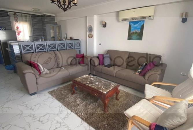 56252871 - Property Image 2