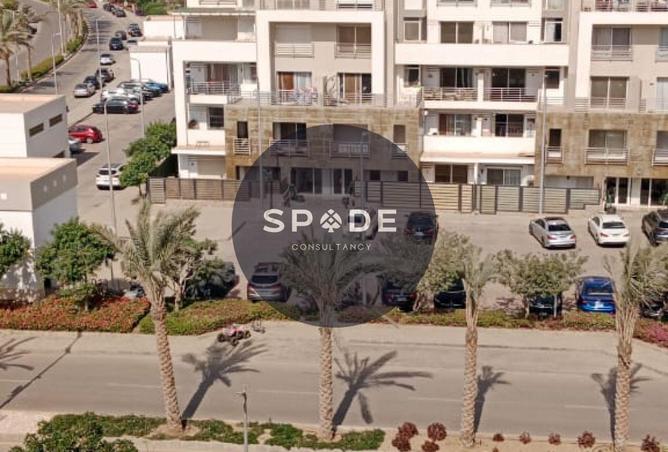 53721554 - Property Image 2