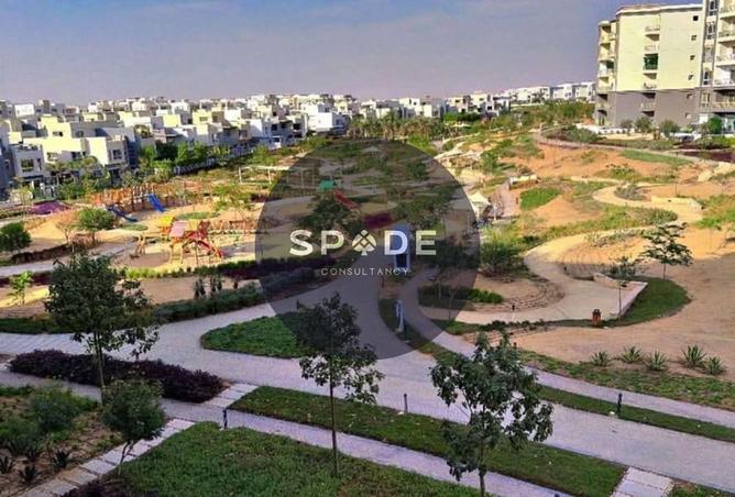 53721554 - Property Image 3