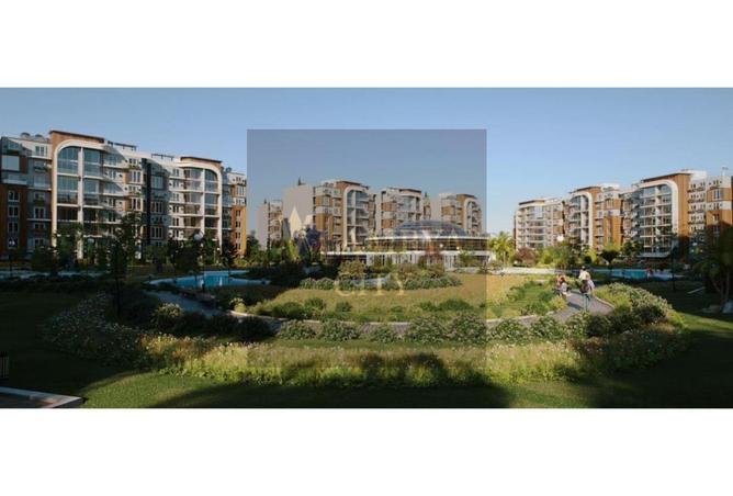 54231296 - Property Image 3