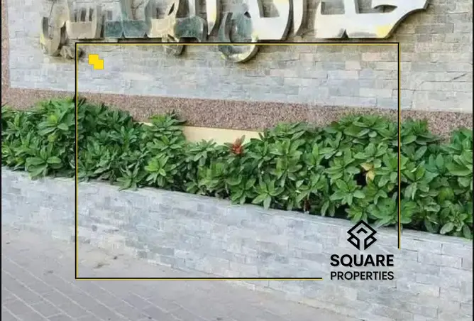 113830529 - صورة العقار 3