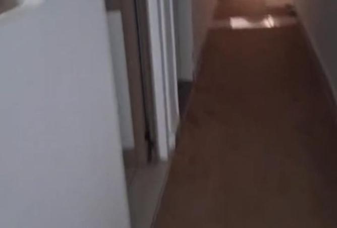 102064690 - Property Image 3
