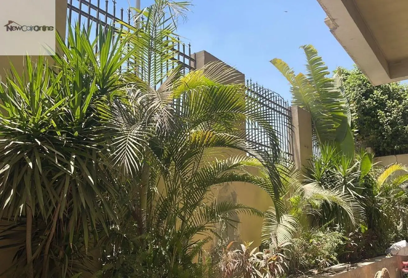 93249132 - الصورة الرئيسية للعقار