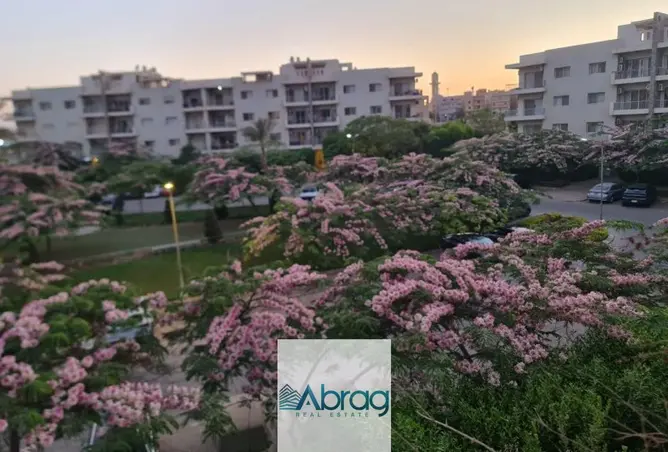 111888136 - Property Image 3