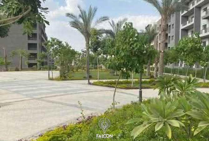 95465523 - Property Image 2