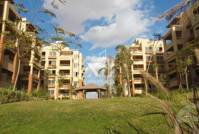 8598833 - الصورة الرئيسية للعقار