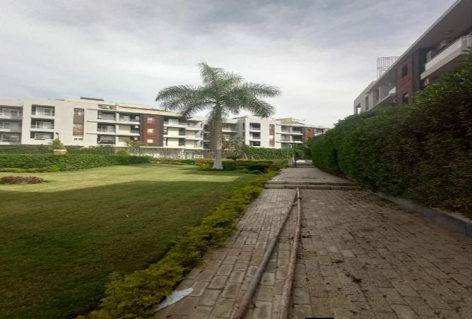 78397652 - Property Image 3