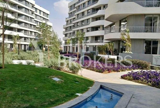 54241882 - Property Image 3