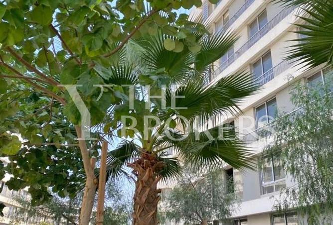 54241882 - Property Image 2