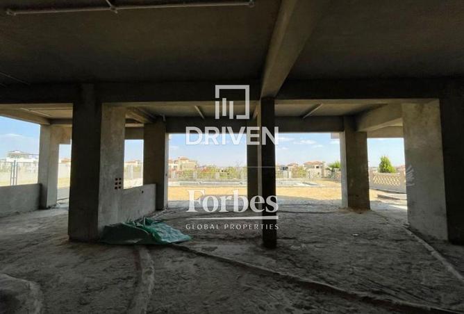 55507616 - Property Image 3