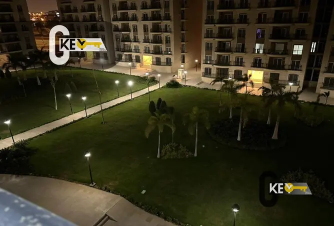 115441044 - Property Image 3