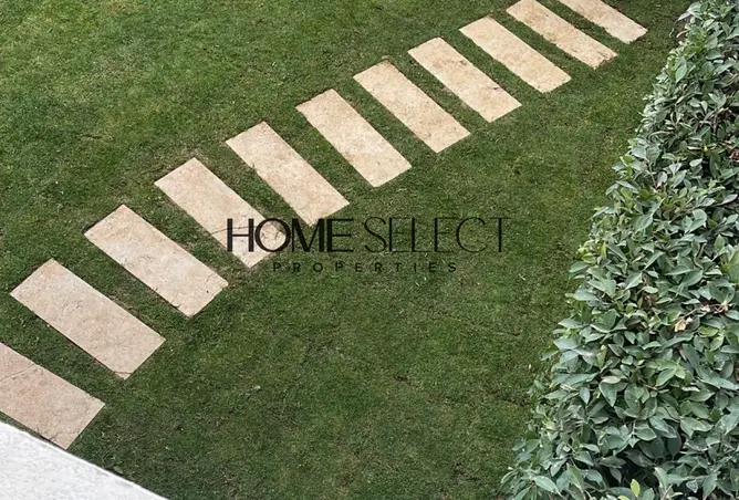 118285746 - Property Image 3