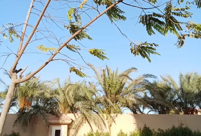 111589451 - صورة العقار 3