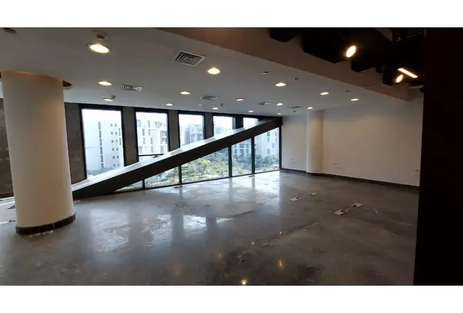 117015845 - Property Image 2