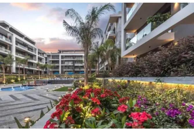 8653644 - صورة العقار 3