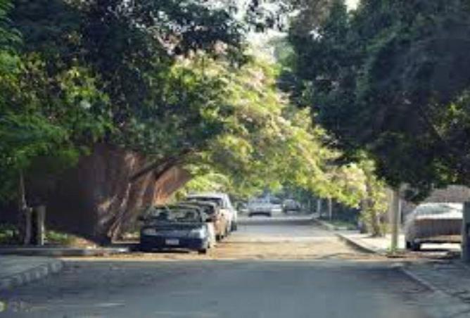 98553181 - الصورة الرئيسية للعقار
