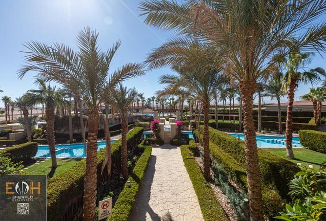 51937984 - صورة العقار 3