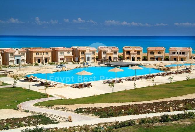 69560516 - صورة العقار 3