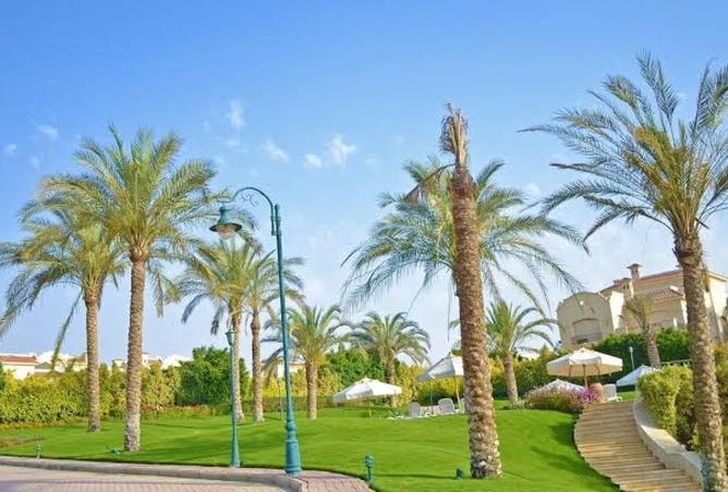 92687527 - صورة العقار 2