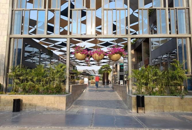 55756323 - Property Image 3