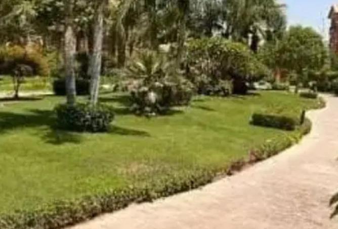 8706208 - Property Image 3