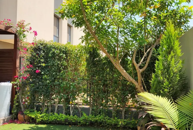 103187115 - Property Image 3