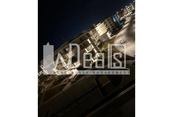 61694482 - Property Image 3