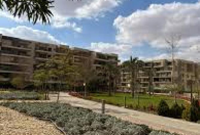 57743368 - صورة العقار 2