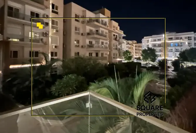 116752327 - Property Image 3