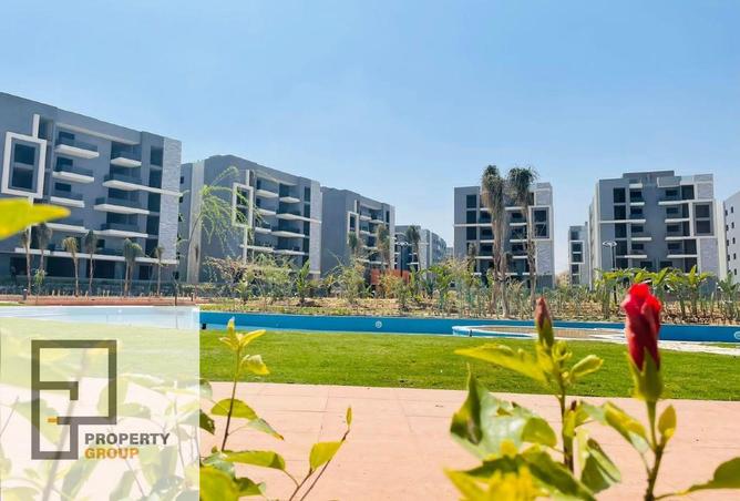 8719578 - صورة العقار 3