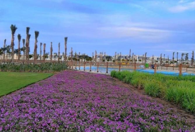 59246620 - صورة العقار 2