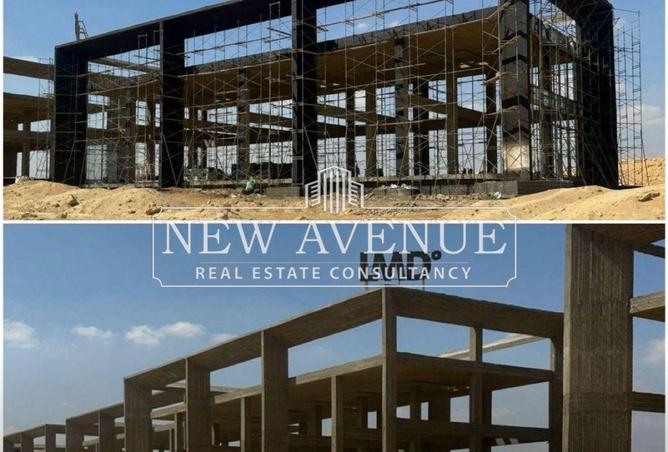 56745336 - صورة العقار 2