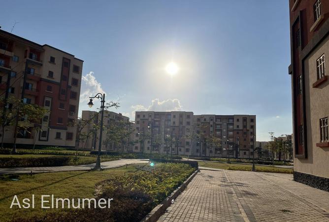 94101896 - صورة العقار 2