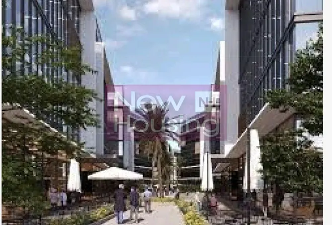 111298767 - Property Image 2