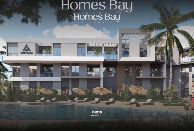 67735198 - Property Image 3