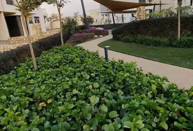 116751495 - صورة العقار 3