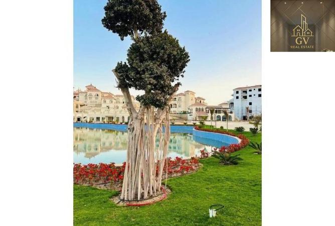 104597797 - صورة العقار 3