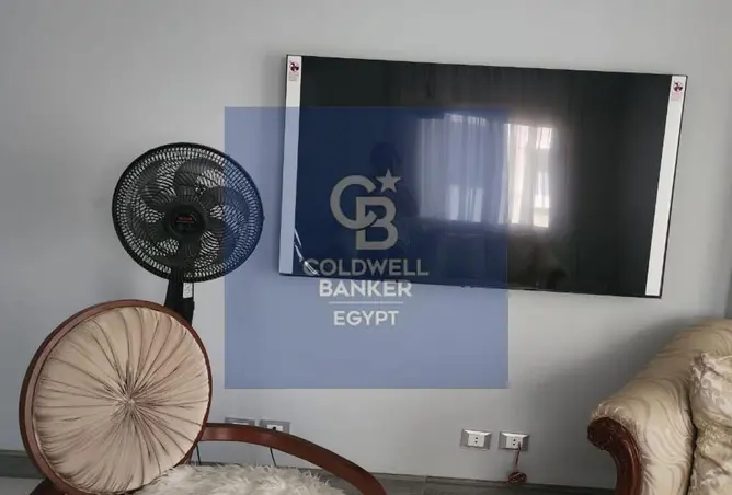 115169746 - Property Image 2