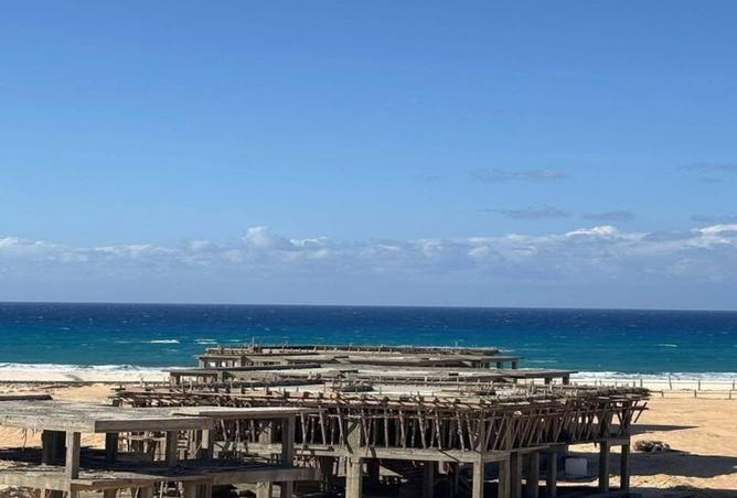 99798976 - صورة العقار 3