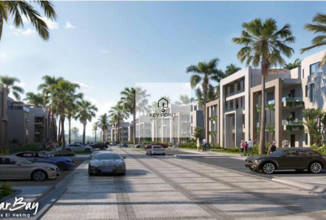 55995691 - Property Image 3