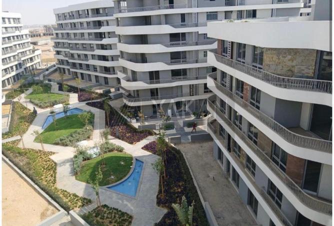 55750807 - Property Image 2